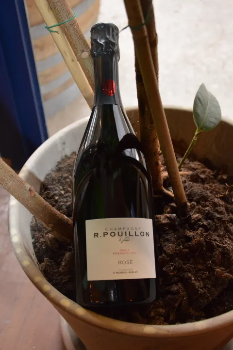 Champagne rosé - R.Pouillon - 1er Cru - Brut