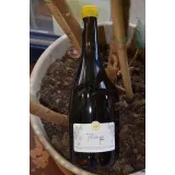 Val Frison - Thomas - Coteaux Champenois - 2020