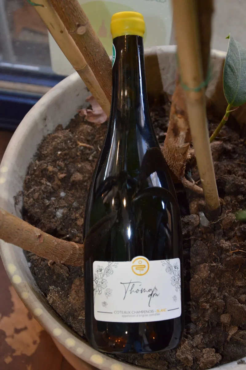 Val Frison - Thomas - Coteaux Champenois - 2020