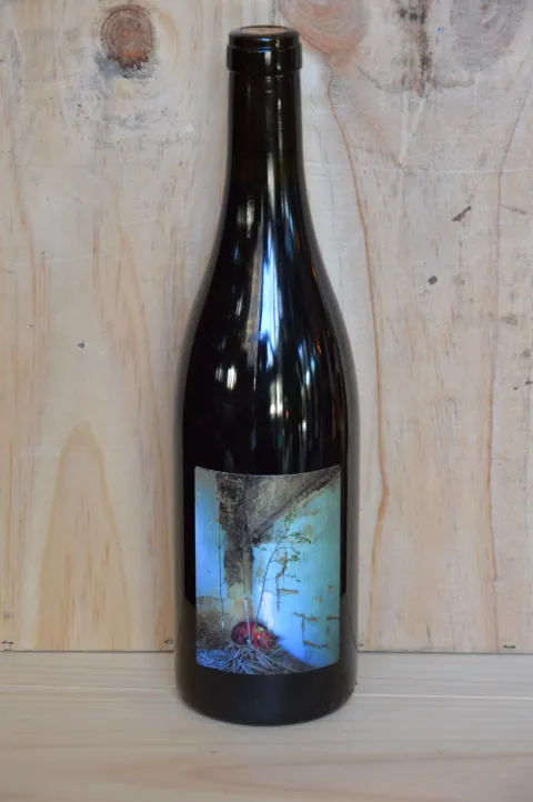 Voyou - Les frères soulier - 2020 - Syrah Oxydatif