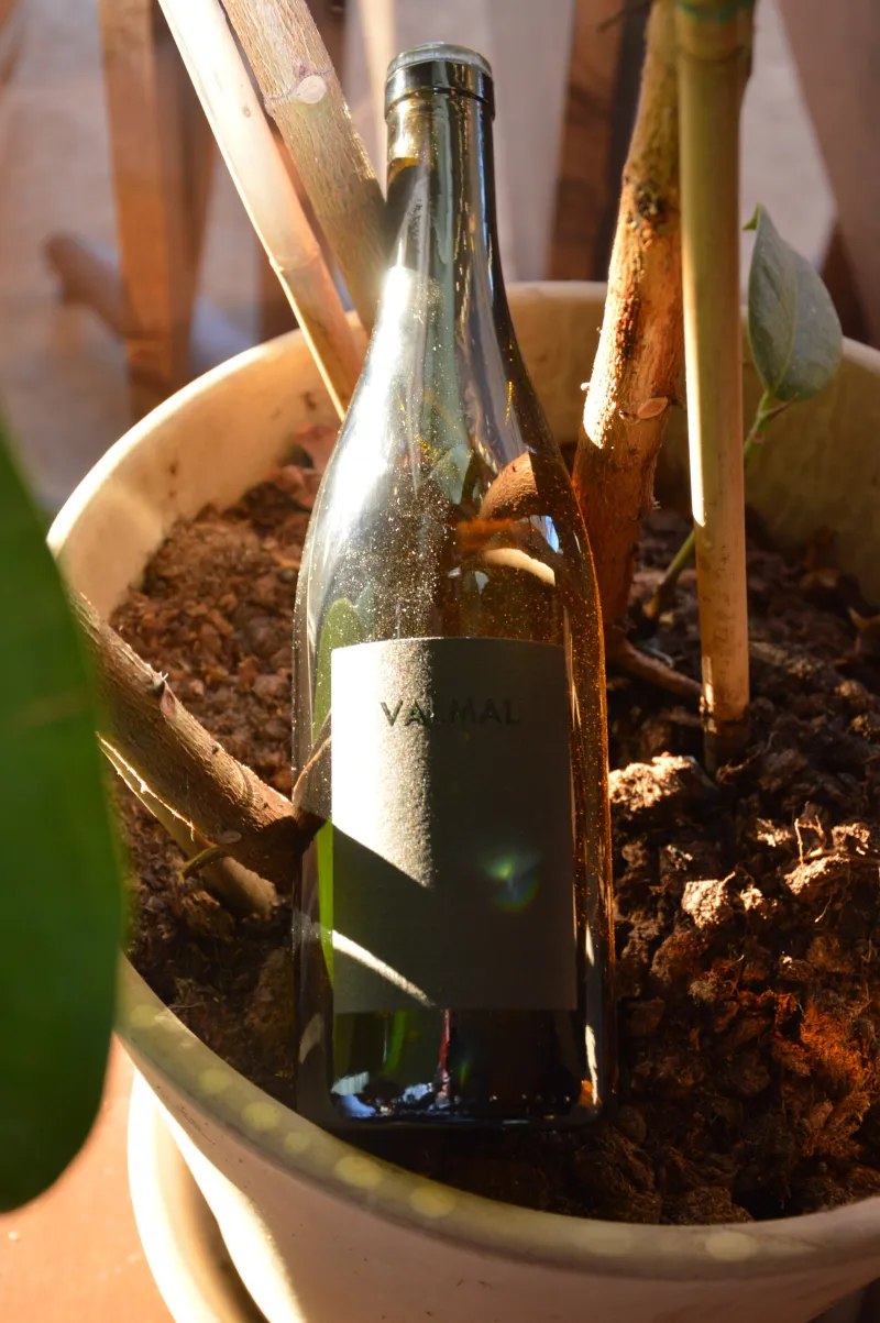 Valmal rosé - Les frères soulier - 2019 - grenache noir oxydatif