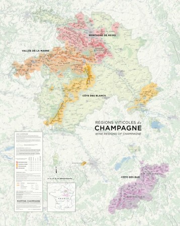 Notre sélection d'artisans vignerons de Champagne