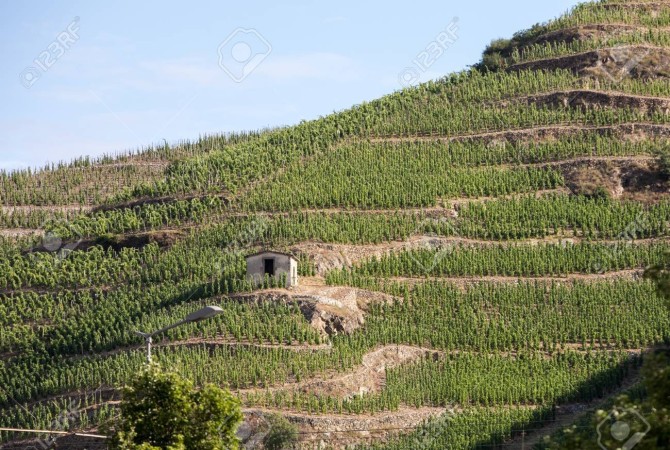 Du Nord au Sud découvrez nos artisans du Rhône